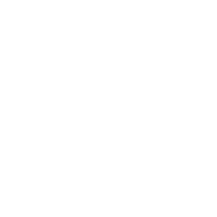 video-icheck