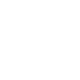 video-icheck1
